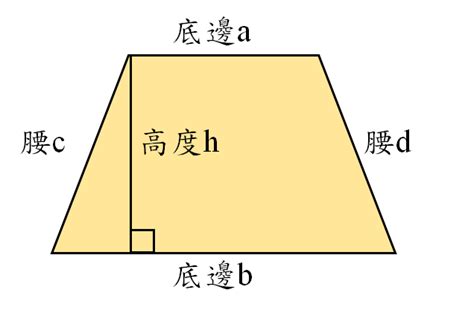 梯形長怎樣|梯型面積計算器【輸入數值自動計算】